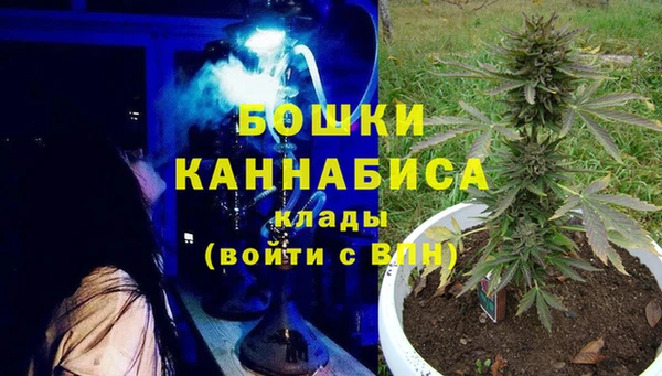 не бодяженный Горно-Алтайск
