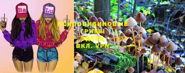 не бодяженный Горно-Алтайск