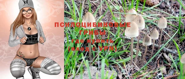 МДПВ Вяземский