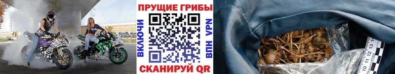 Галлюциногенные грибы Magic Shrooms  наркотики  ОМГ ОМГ зеркало  Еманжелинск 